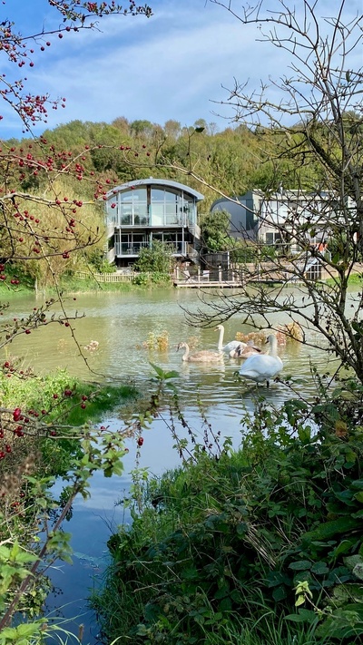 River side deck with river access